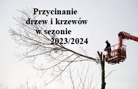 Przycinanie drzew i krzewów w sezonie 2023/2024